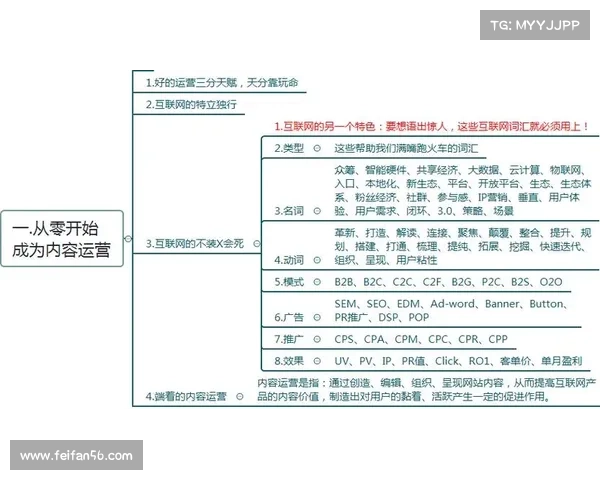 赛事运营策略 流程